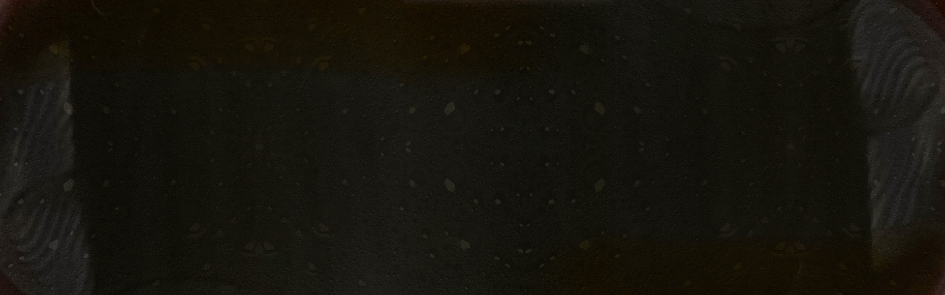 CONCENTRATED CIRUELA JUICE (data sheet)