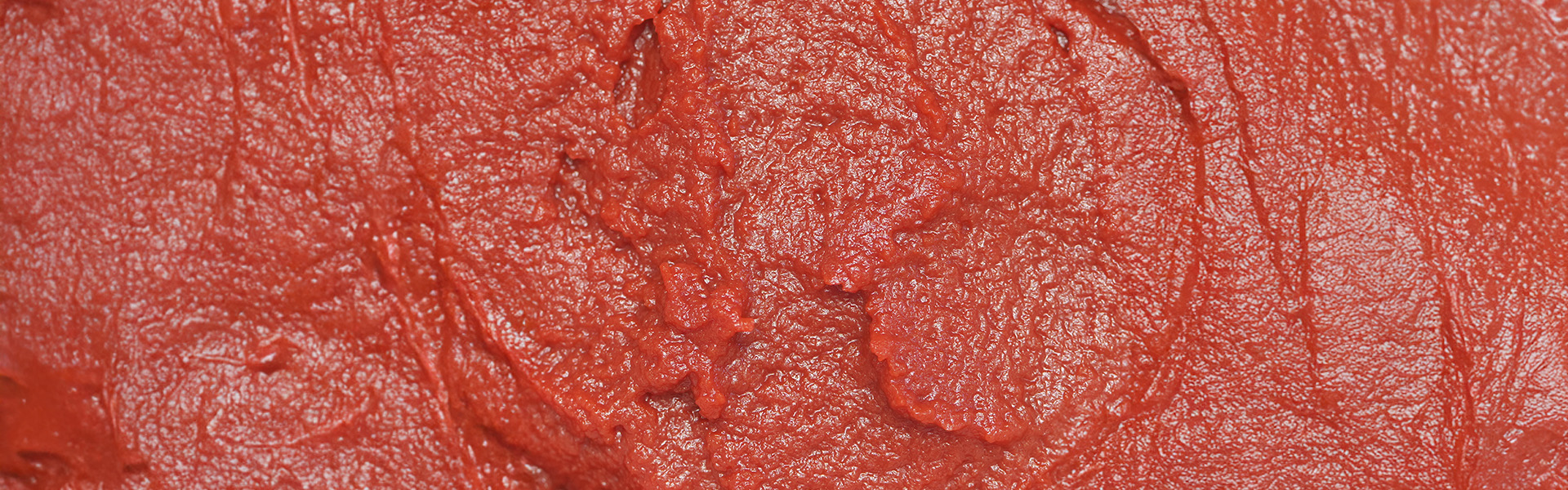 TOMATO PASTA CB 30_32 - large