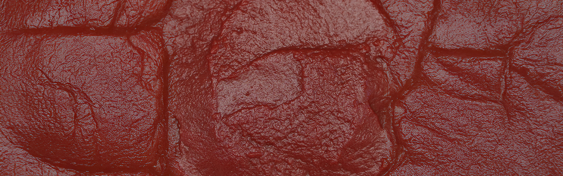 TOMATO PASTA CB 36_38 - large