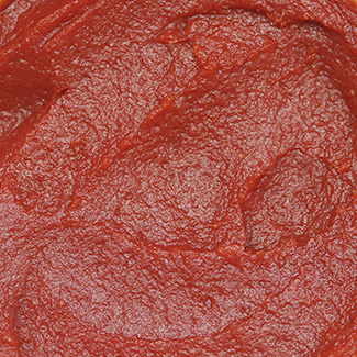 Pasta de tomate HB 28/30 BRIX