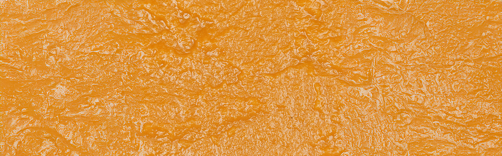 pumpkin-pulp-20-22-horizontal
